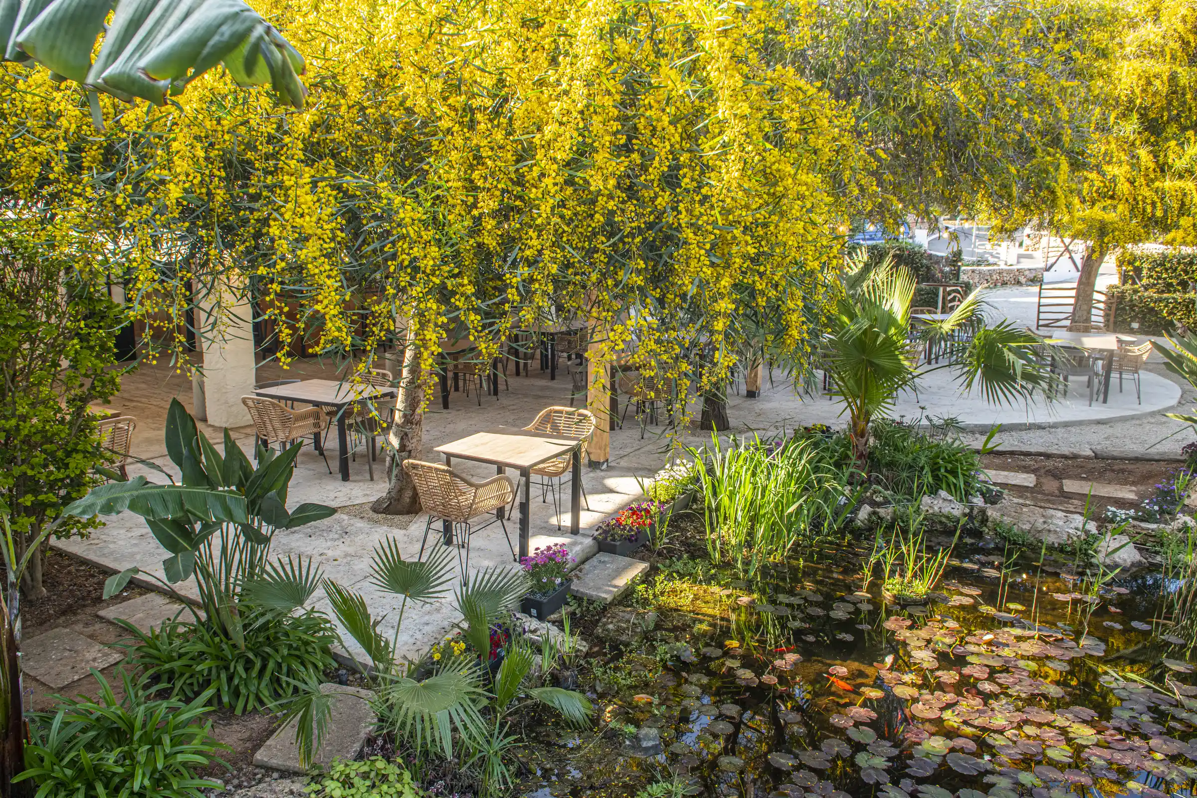 Winding mountain road